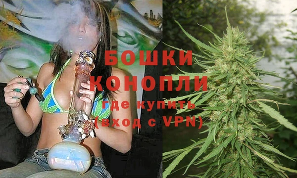 бошки Покачи